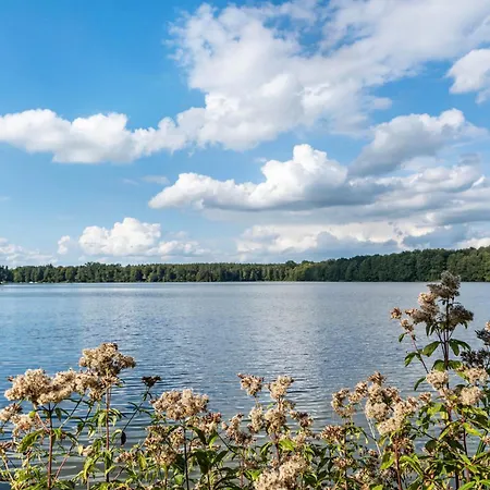 Ferienhaus Tiny House Evita *