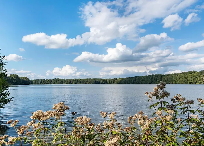 بيت للعطل Tiny House Evita *